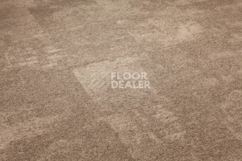 Bonkeel Sensei Beige фото 5 | FLOORDEALER